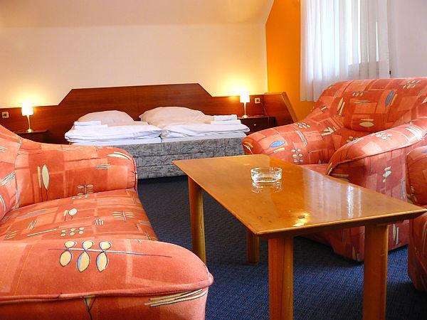 Hotel Prosper Челадна Экстерьер фото